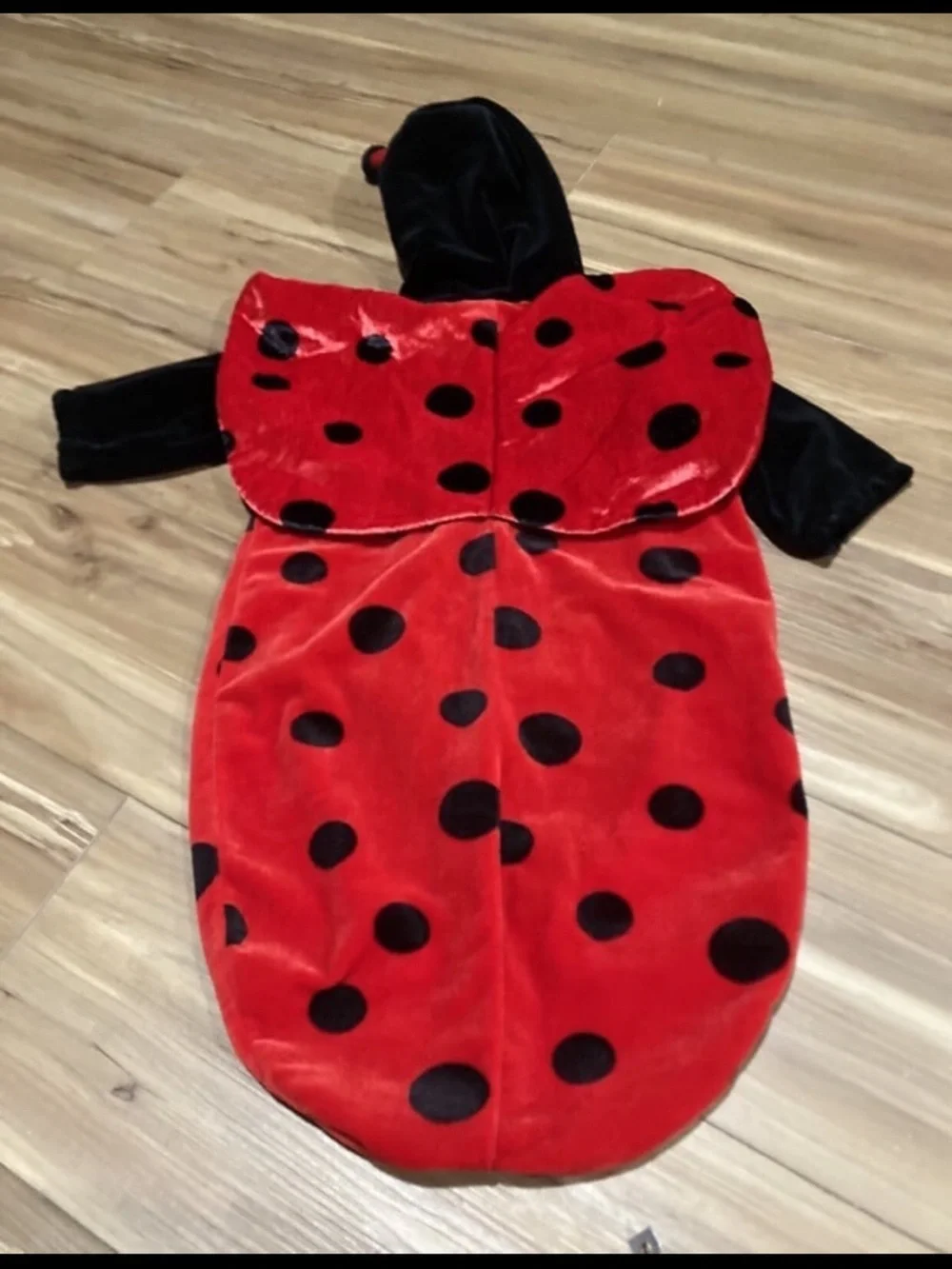 Ladybug Costume Hooded Sleepsack Size 0-9m